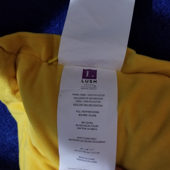 Feather Down Gold Accent throw pillow - Picture 2 of 3